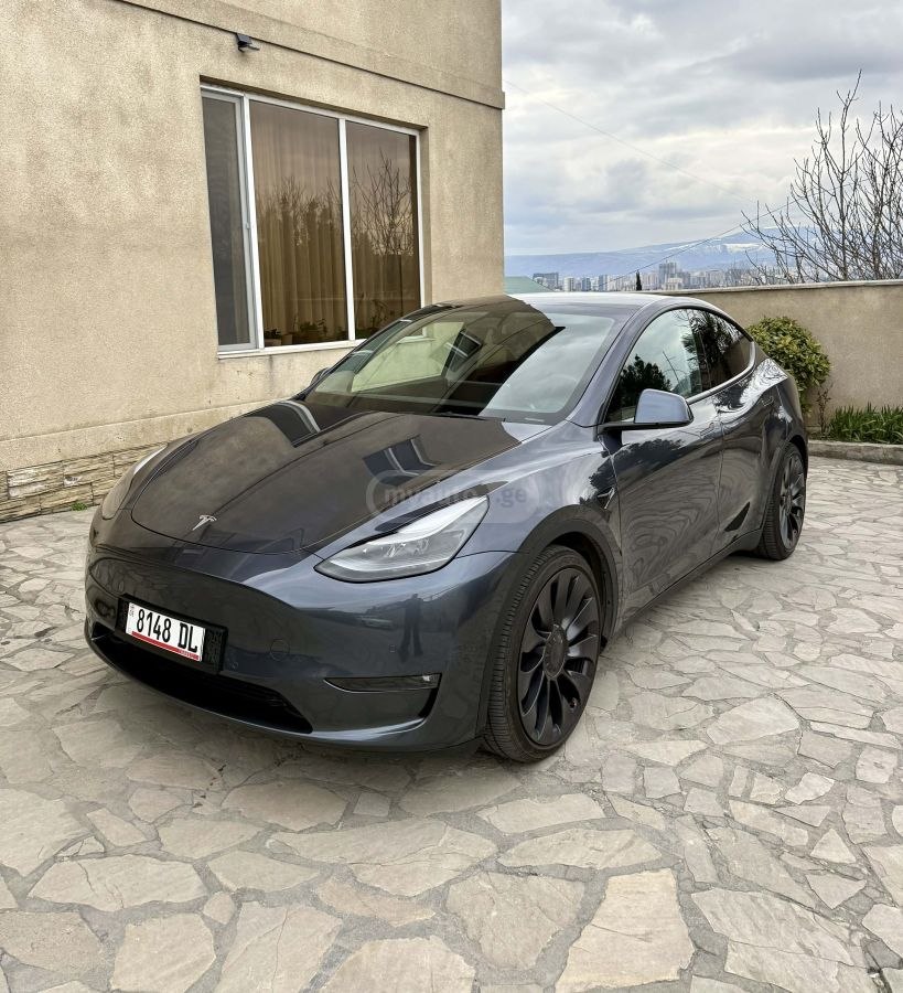 Tesla performance — миниатюра 1