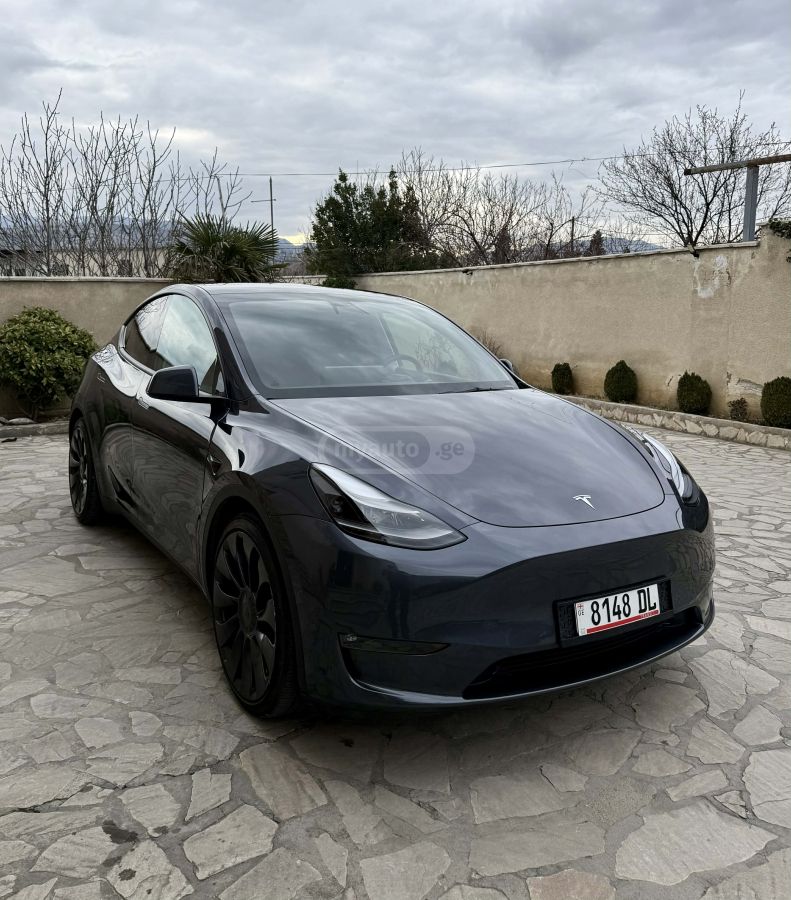 Tesla performance — миниатюра 2