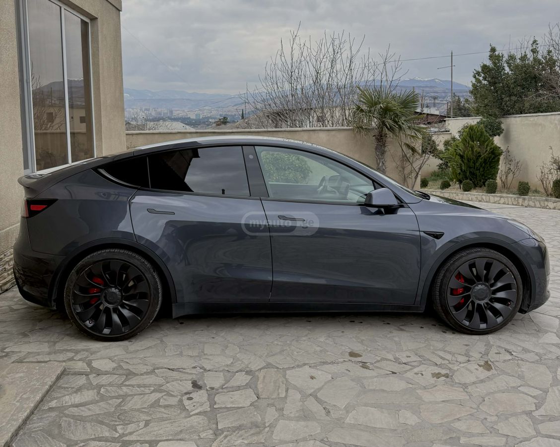 Tesla performance — миниатюра 3