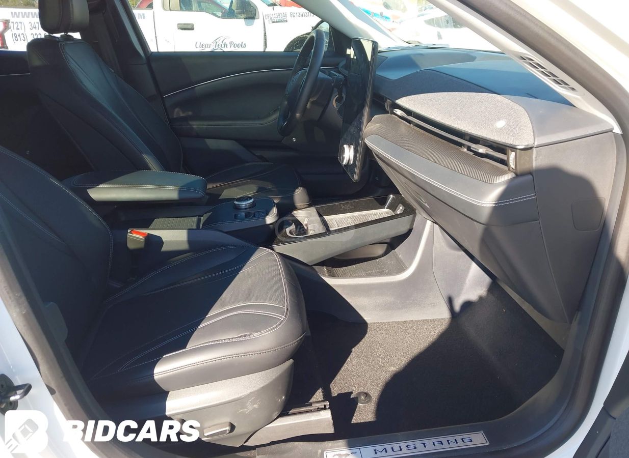 Ford Mustang Mach-E - фото 8