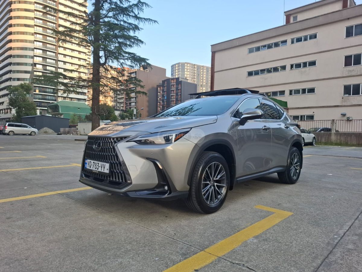 Lexus NX 250 2025 — миниатюра 1
