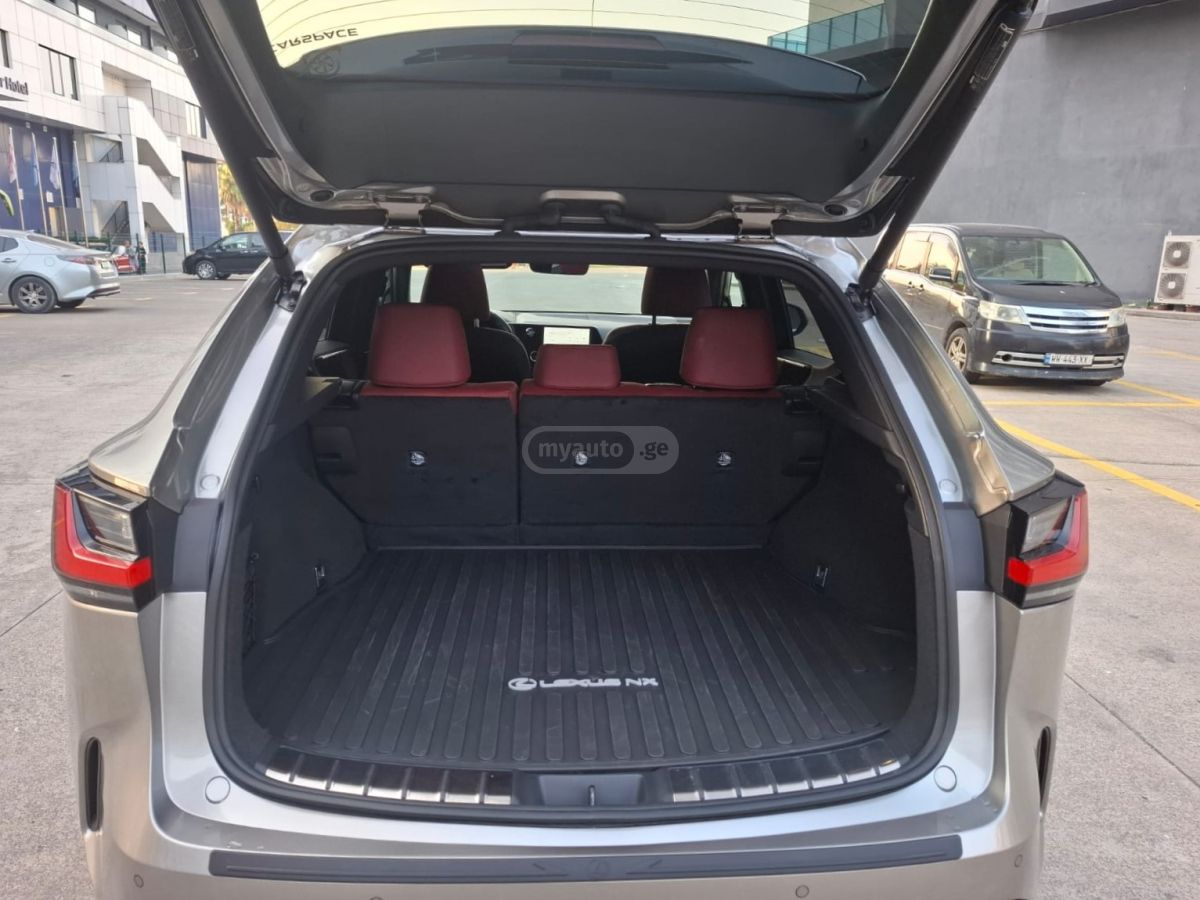 Lexus NX 250 2025 — миниатюра 13
