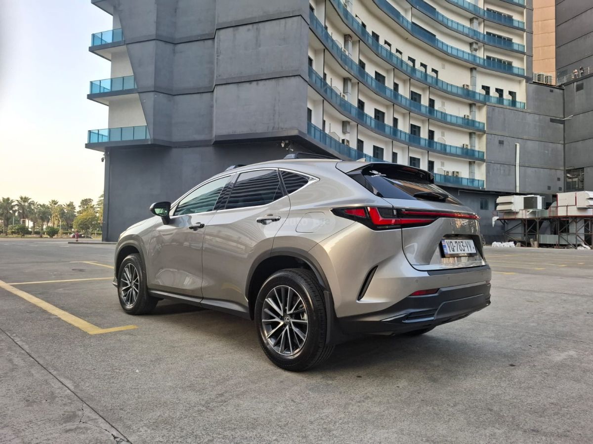 Lexus NX 250 2025 — миниатюра 2