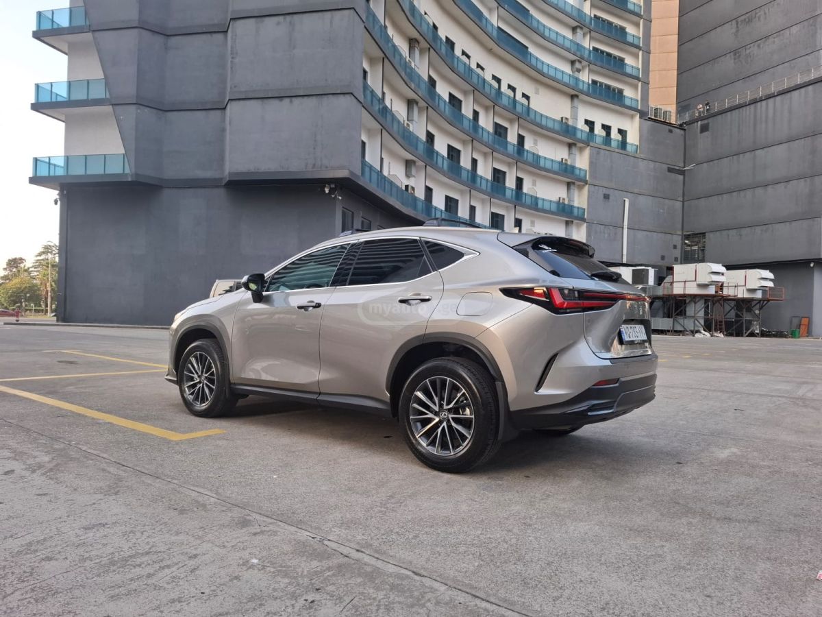 Lexus NX 250 2025 — миниатюра 3