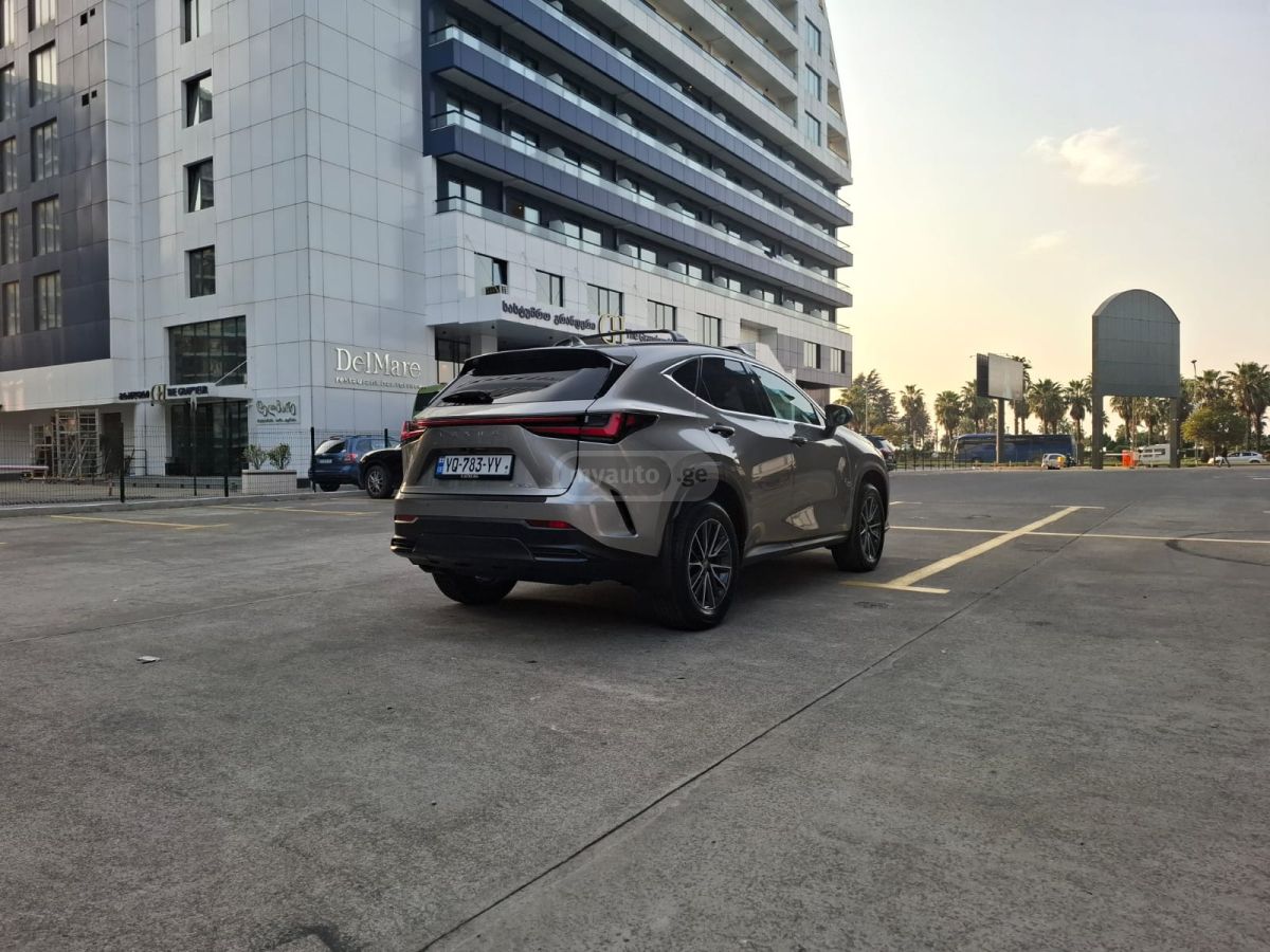Lexus NX 250 2025 — миниатюра 4