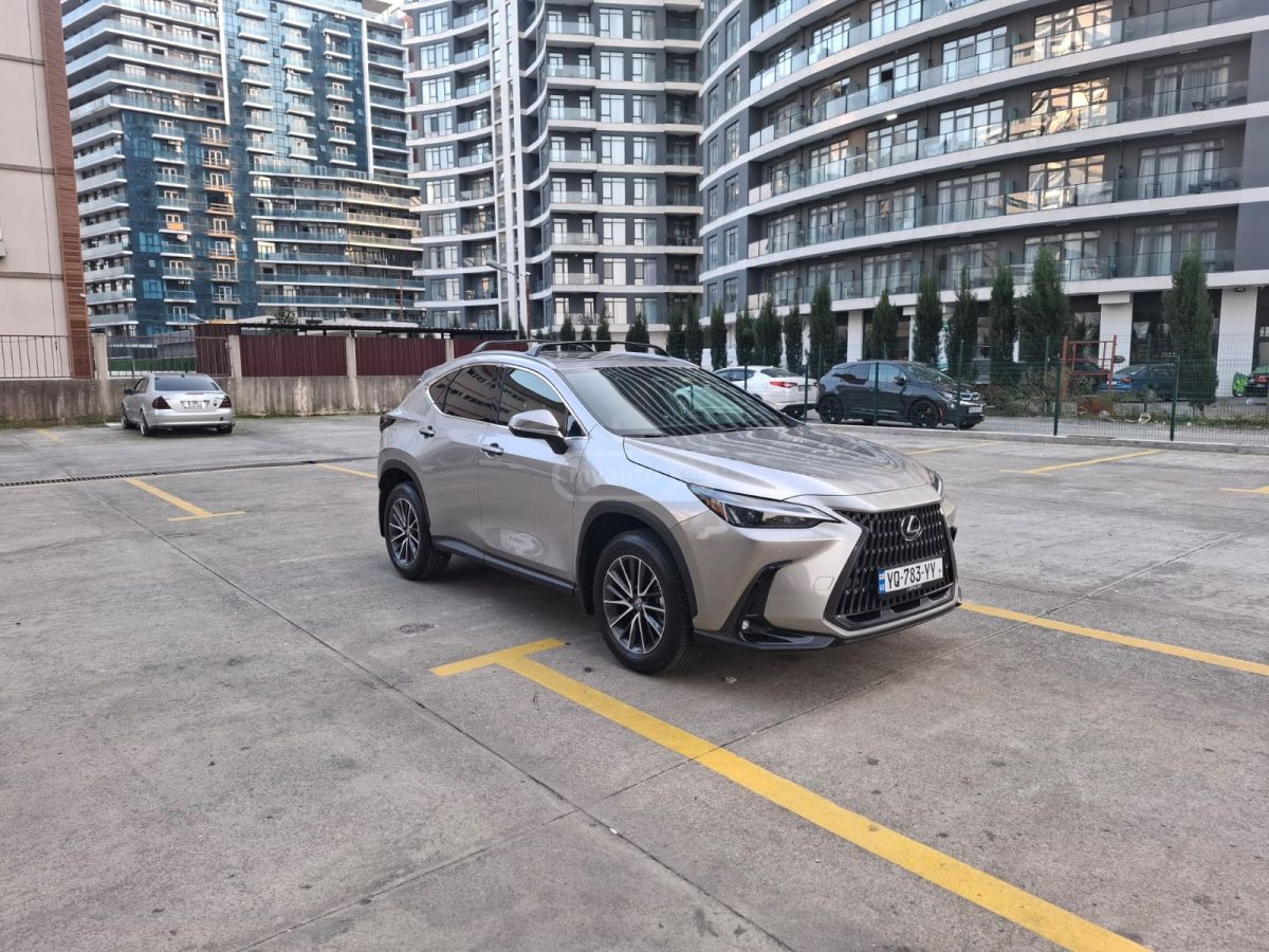 Lexus NX 250 2025 — миниатюра 5