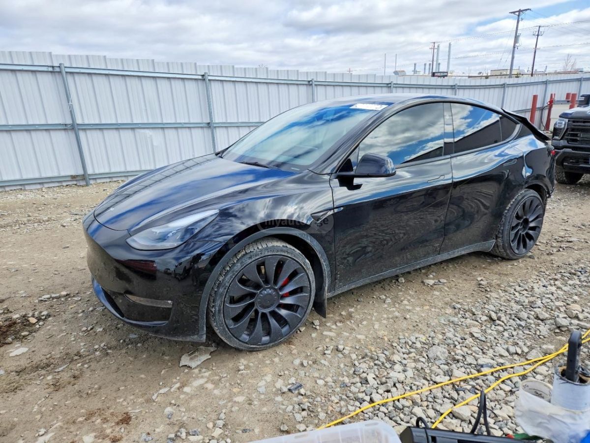 Tesla Model Y - фото 1