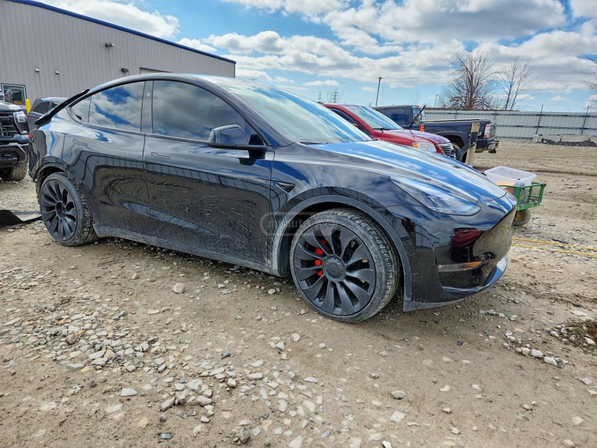 Tesla Model Y - фото 2