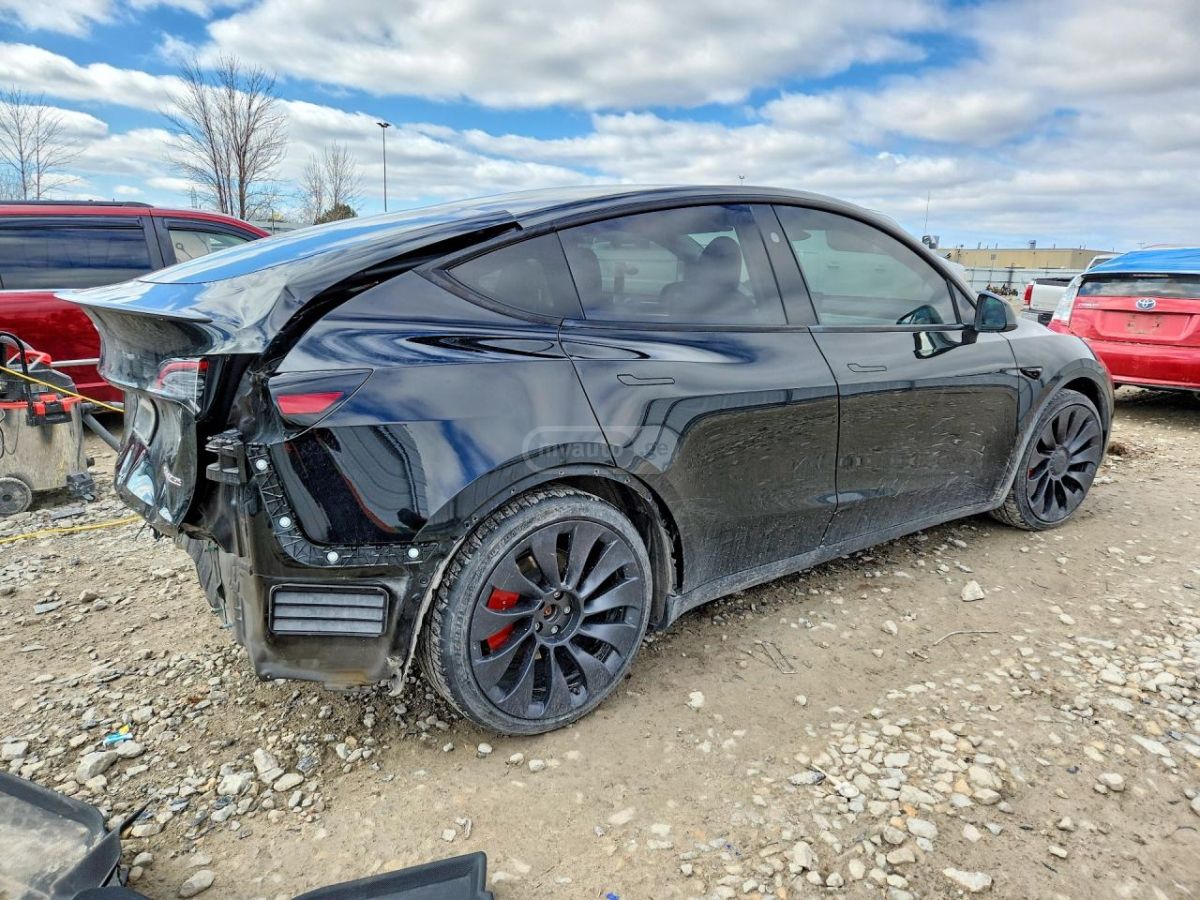 Tesla Model Y - фото 6