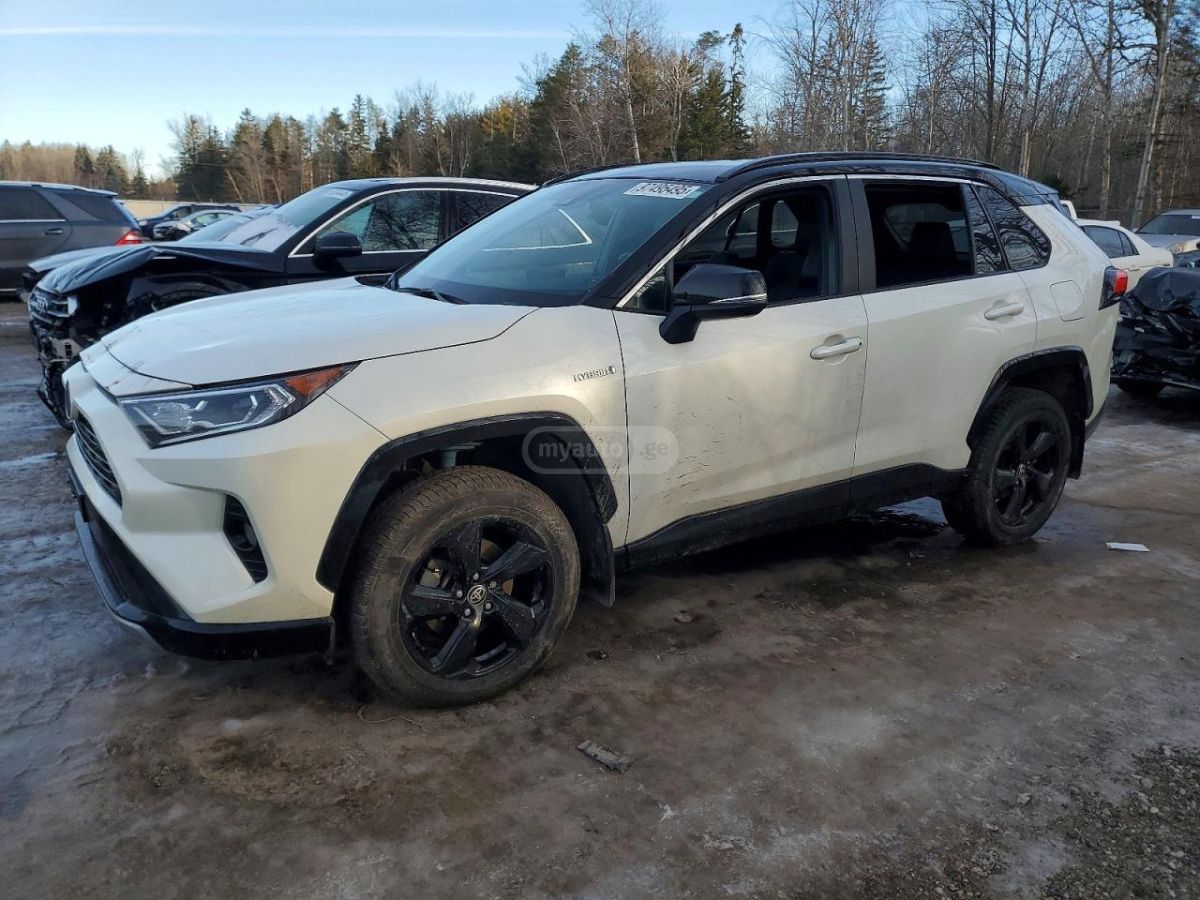 Toyota RAV 4 - фото 1