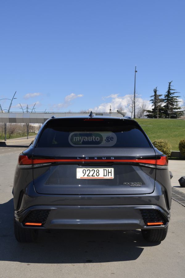 Lexus RX 500 F Sport Performance 2024 — миниатюра 6