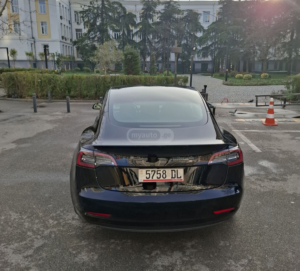 Tesla Dual Motor, Long Range — миниатюра 7