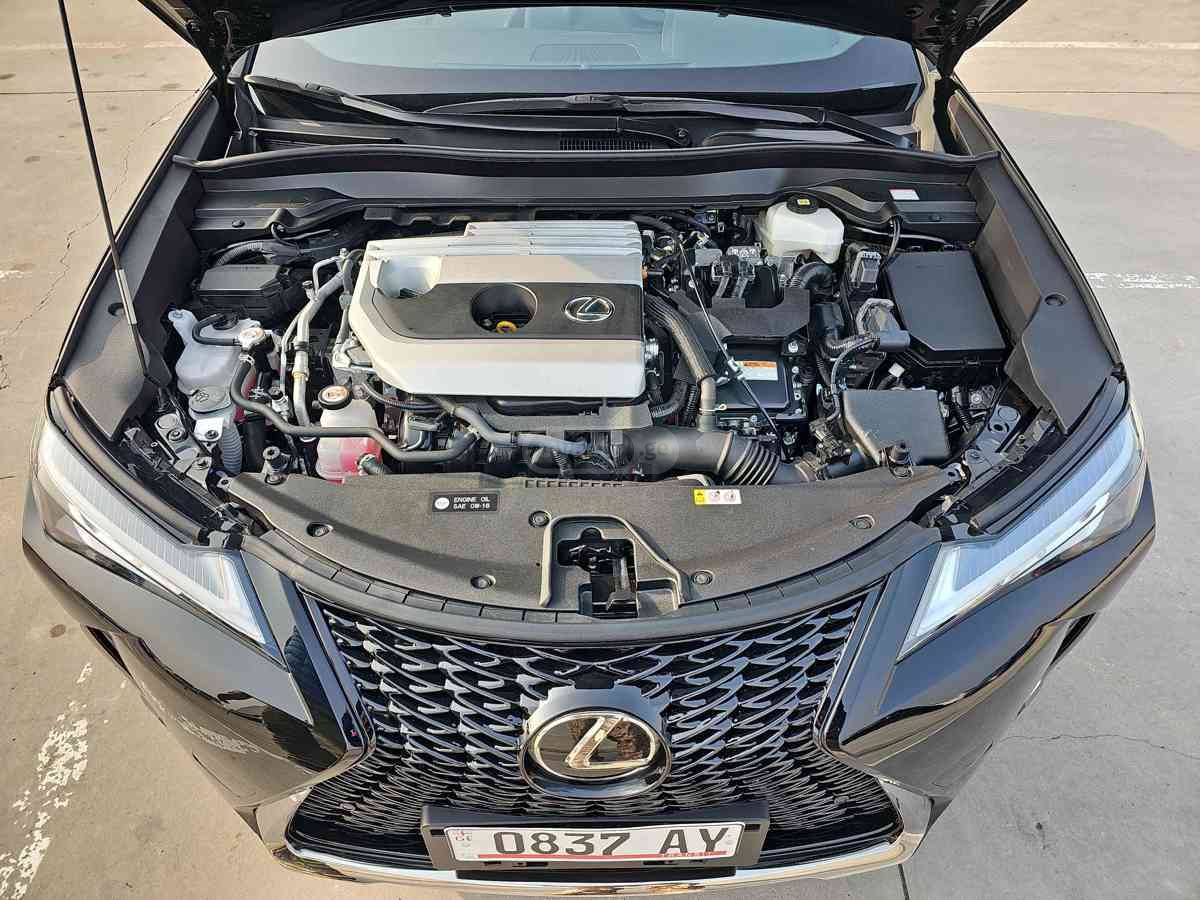 Lexus UX 250 h 2023 — миниатюра 2