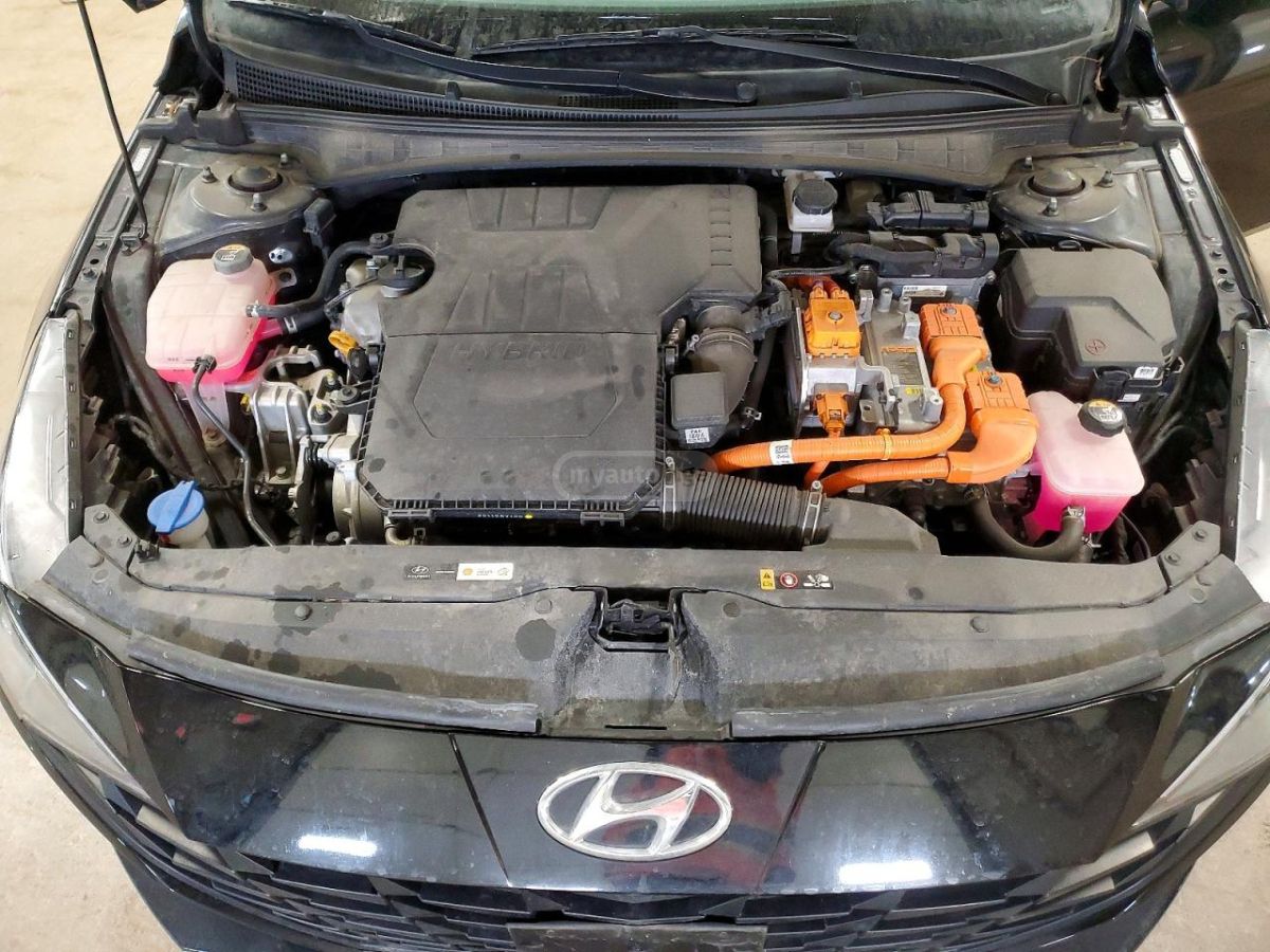 Hyundai Elantra - фото 11