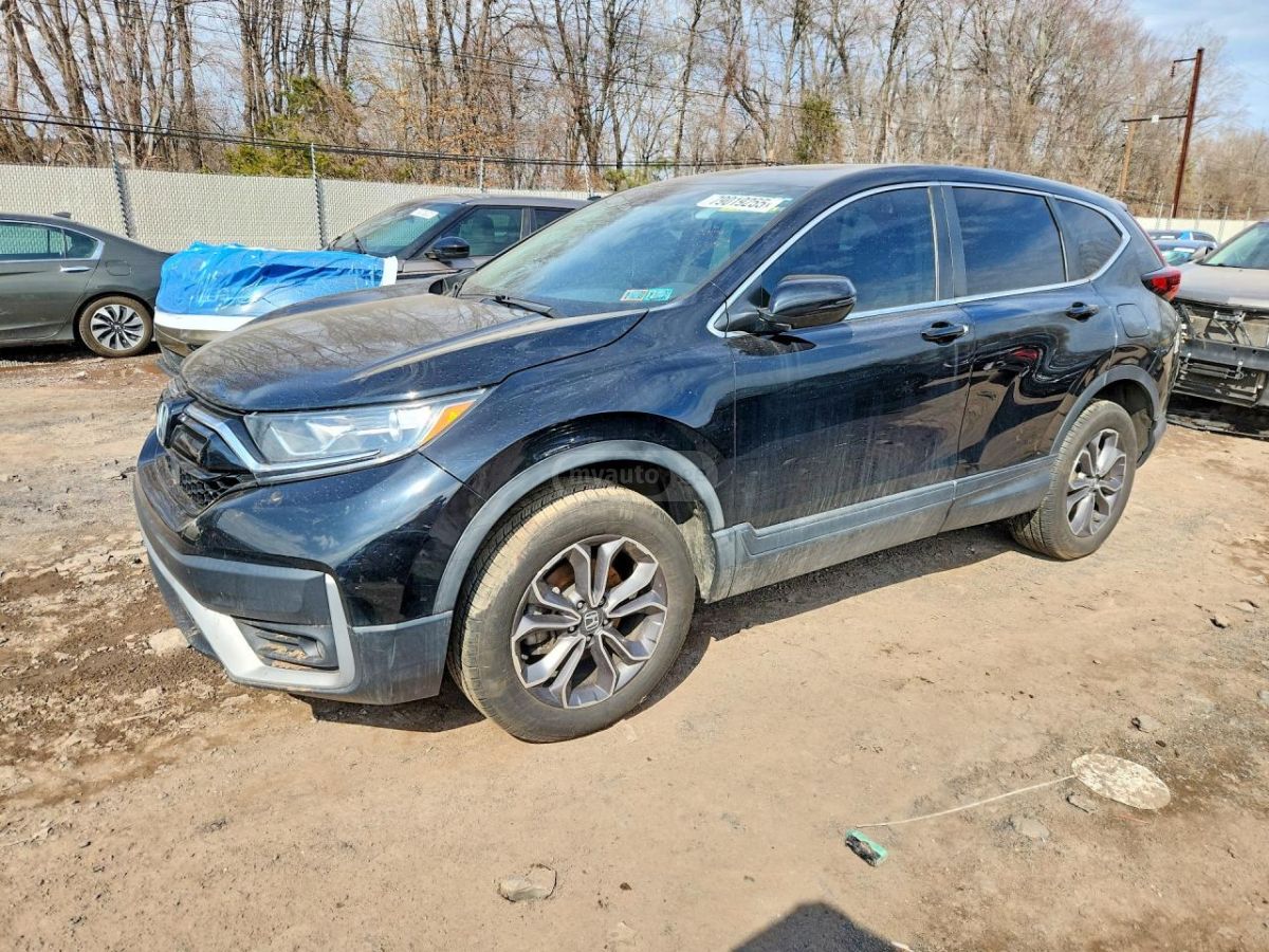 Honda CR-V - фото 1