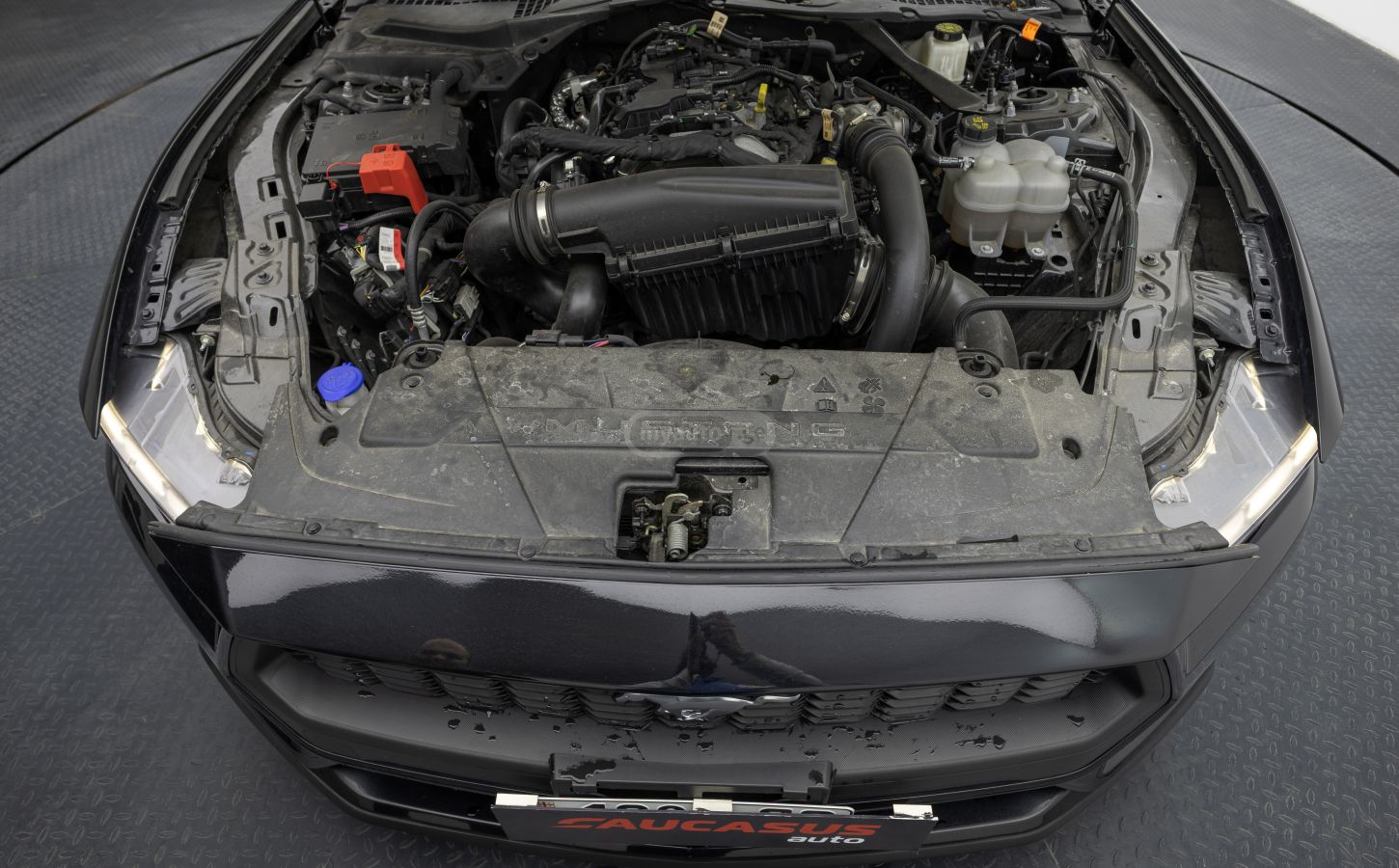 Ford Mustang Ford Mustang 2024 — миниатюра 9