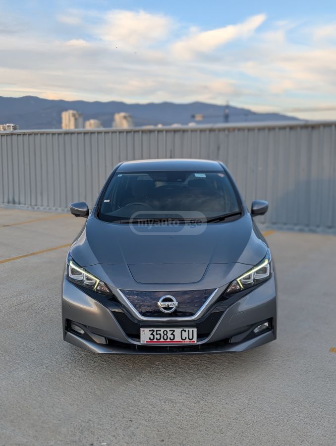 Nissan Leaf - фото 1