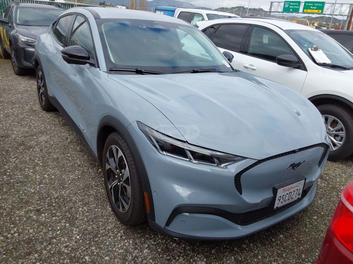 Ford Mustang Mach-E - фото 1