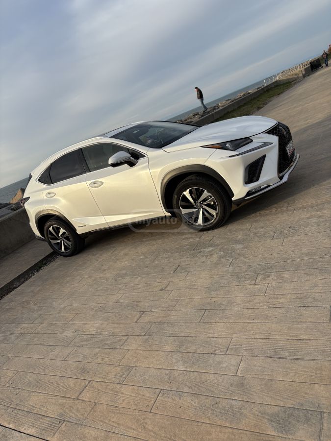 Lexus NX 300 - фото 1