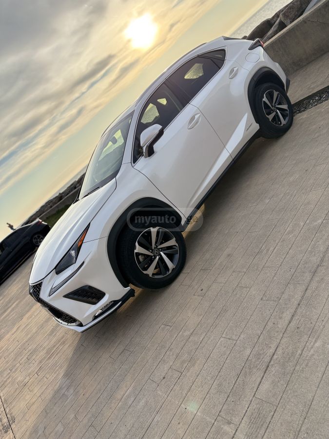 Lexus NX 300 - фото 13