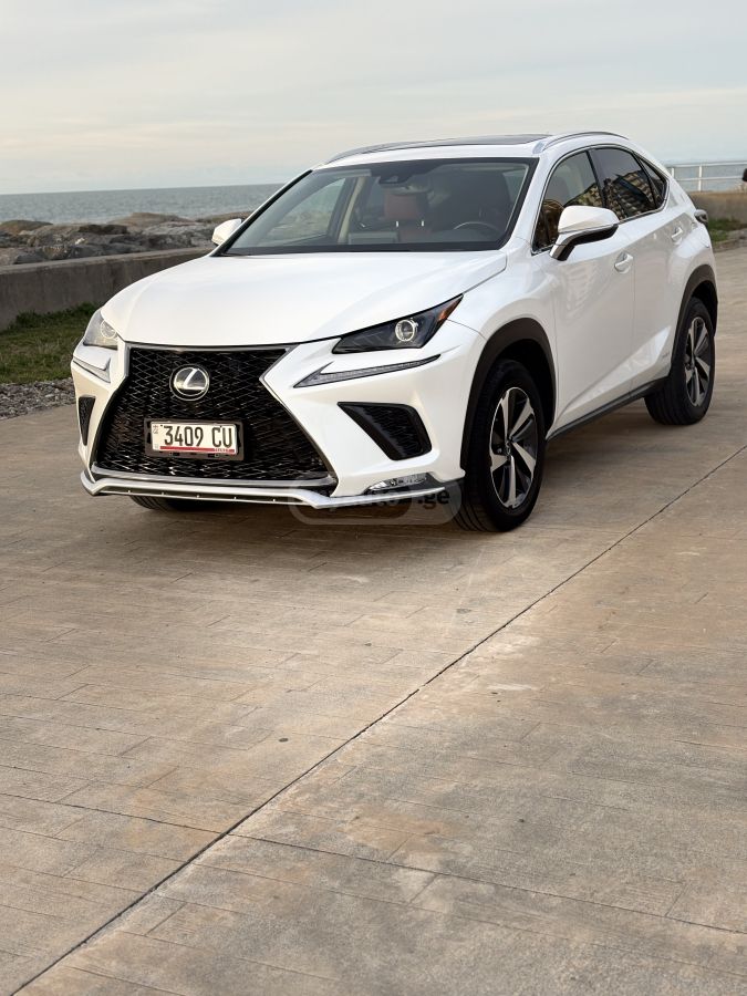 Lexus NX 300 - фото 14