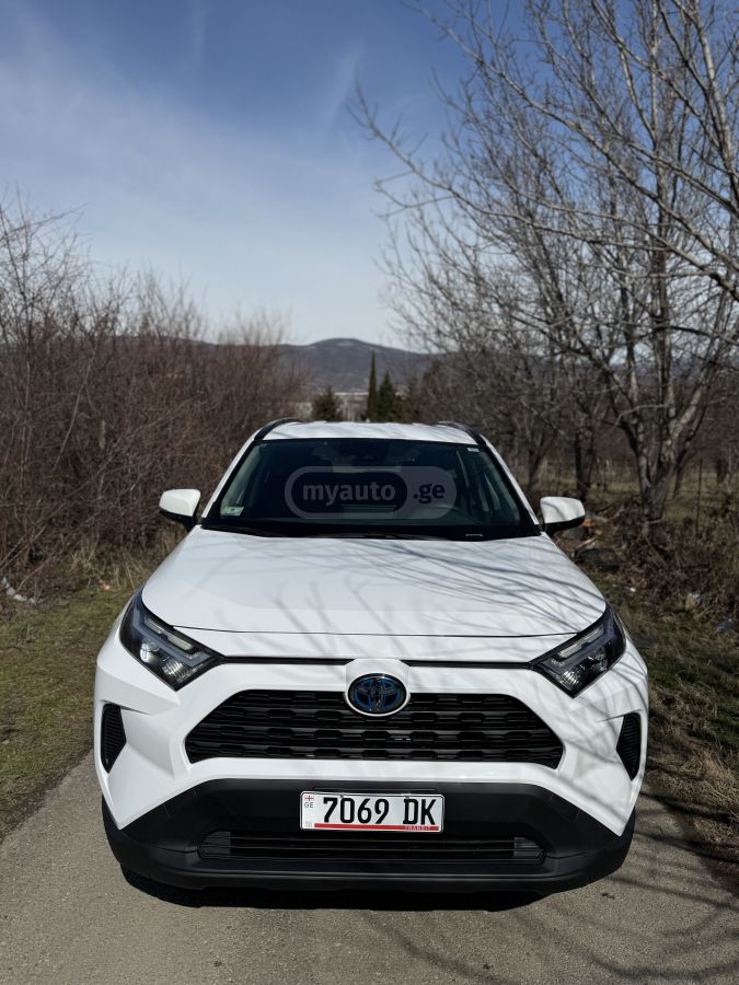 Toyota XLE 4dr All Wheel Drive Automa — миниатюра 1