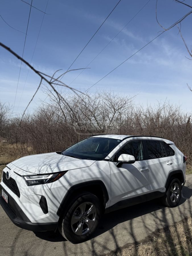 Toyota XLE 4dr All Wheel Drive Automa — миниатюра 2