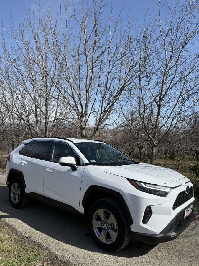 Toyota XLE 4dr All Wheel Drive Automa — миниатюра 6