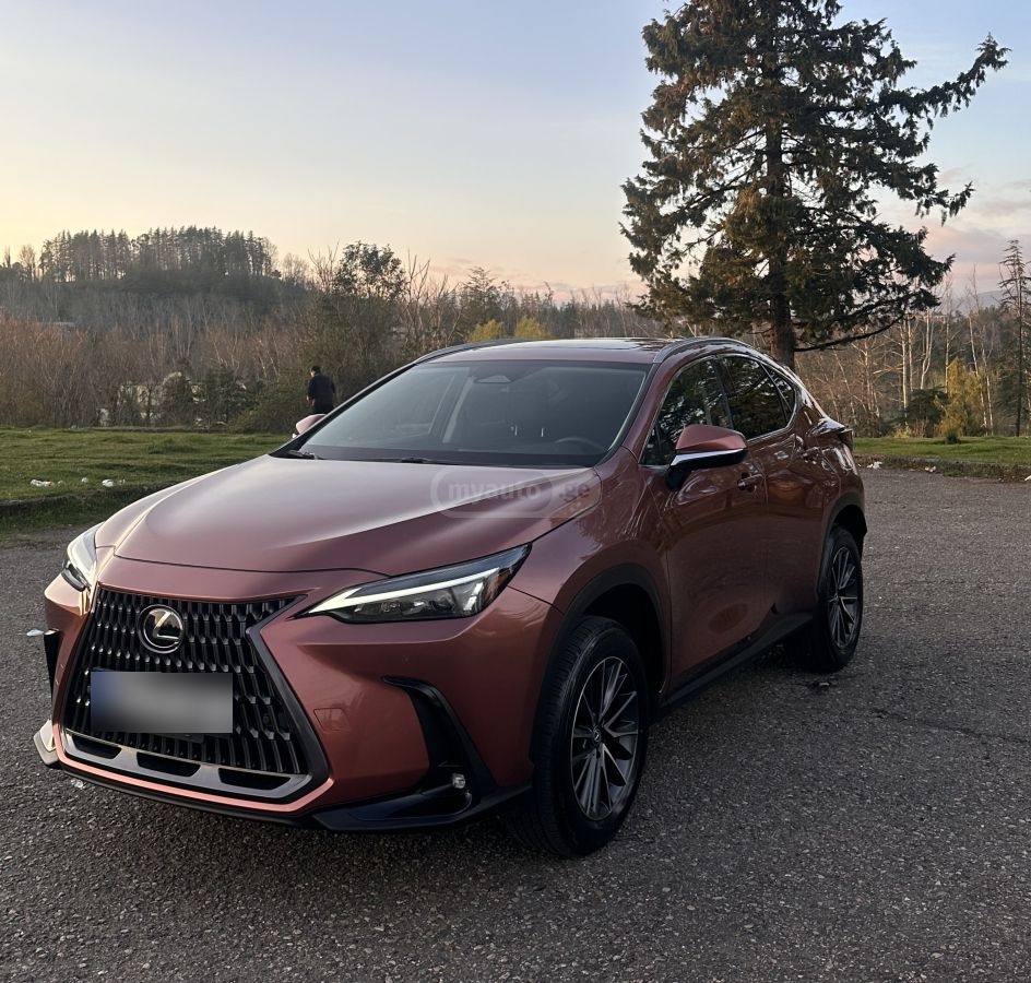 Lexus NX 350 - фото 1