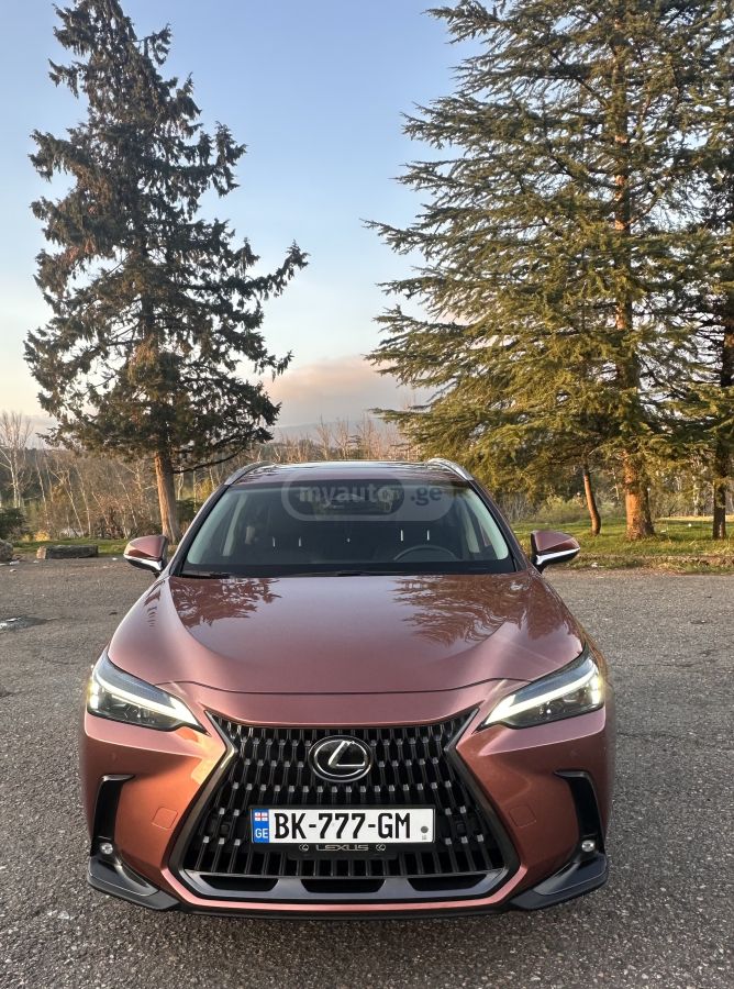 Lexus NX 350 - фото 10