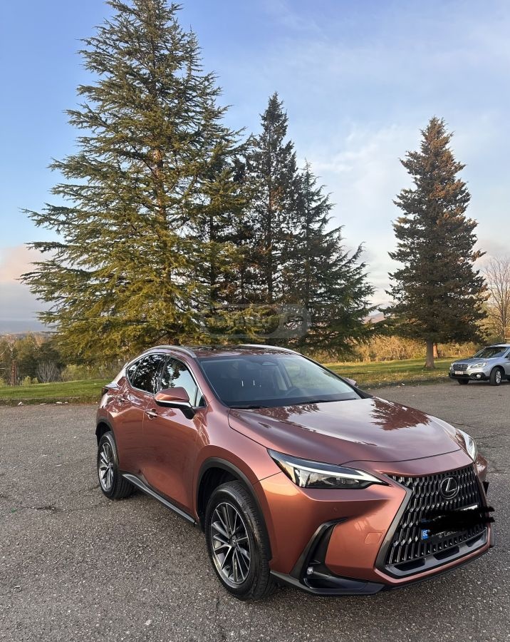 Lexus NX 350 - фото 2