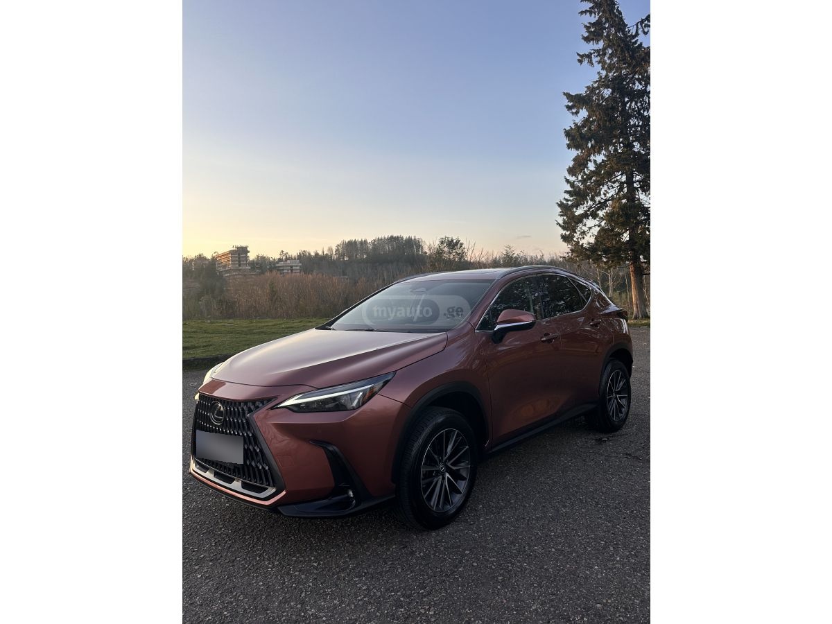 Lexus NX 350 - фото 3