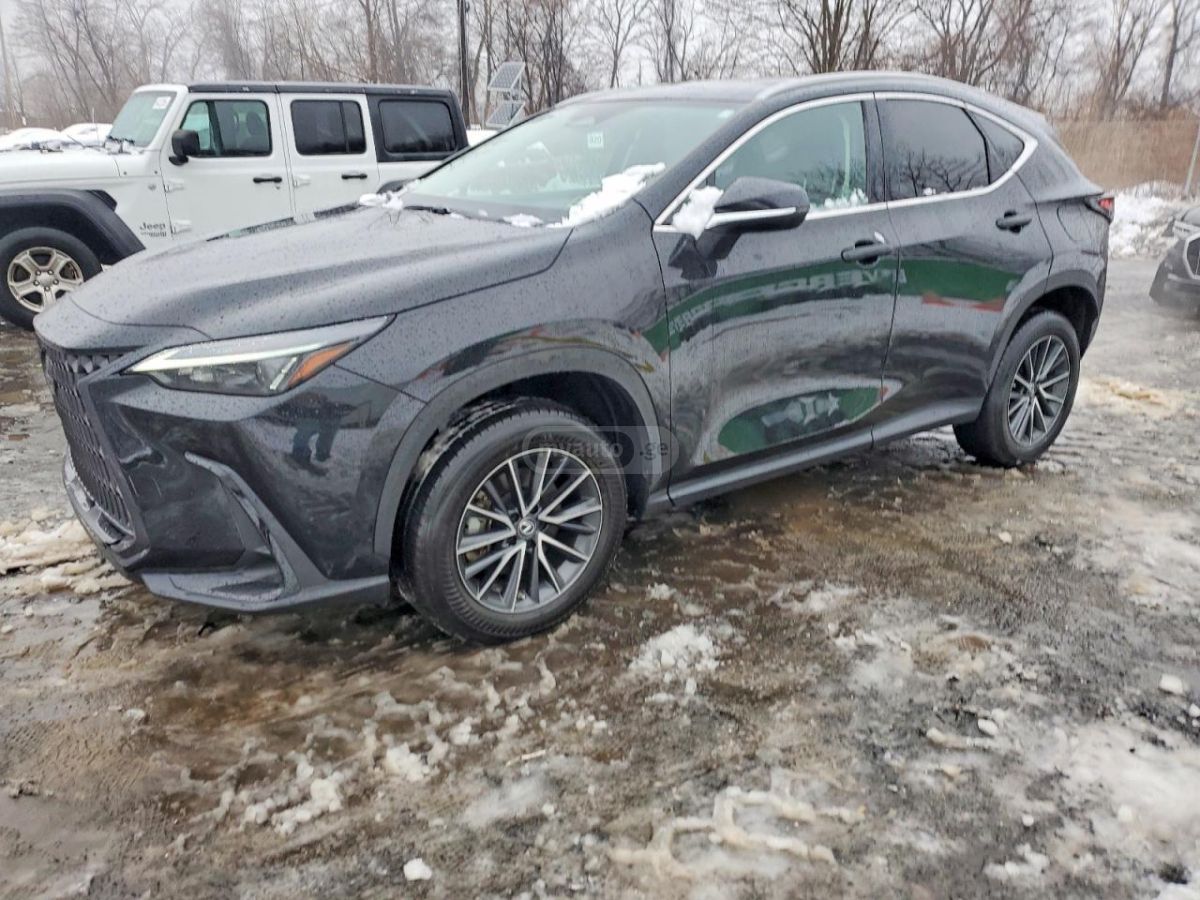 Lexus NX 250 - фото 1