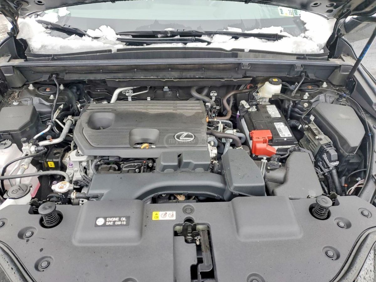 Lexus NX 250 - фото 11