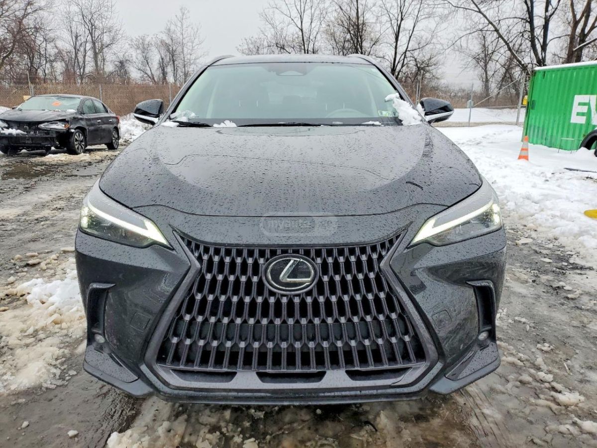 Lexus NX 250 - фото 2