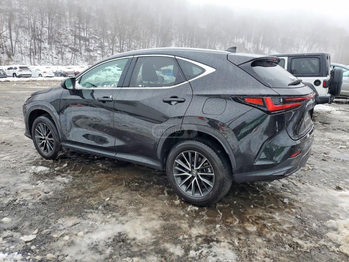 Lexus NX 250 - фото 4