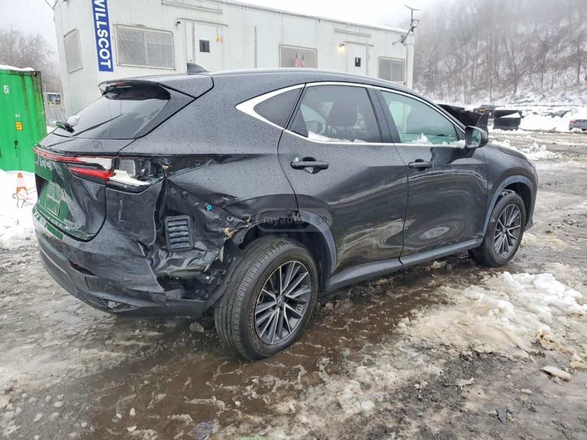 Lexus NX 250 - фото 5