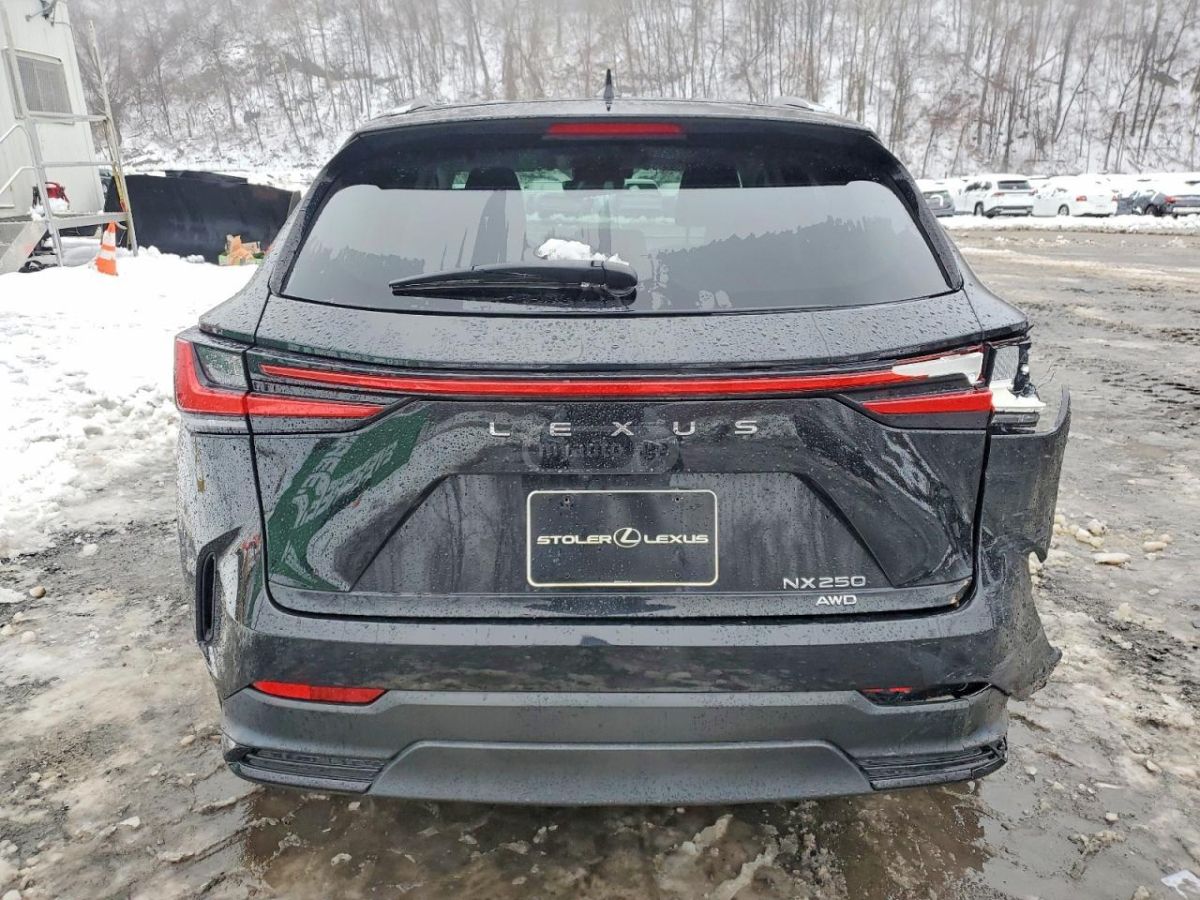 Lexus NX 250 - фото 6