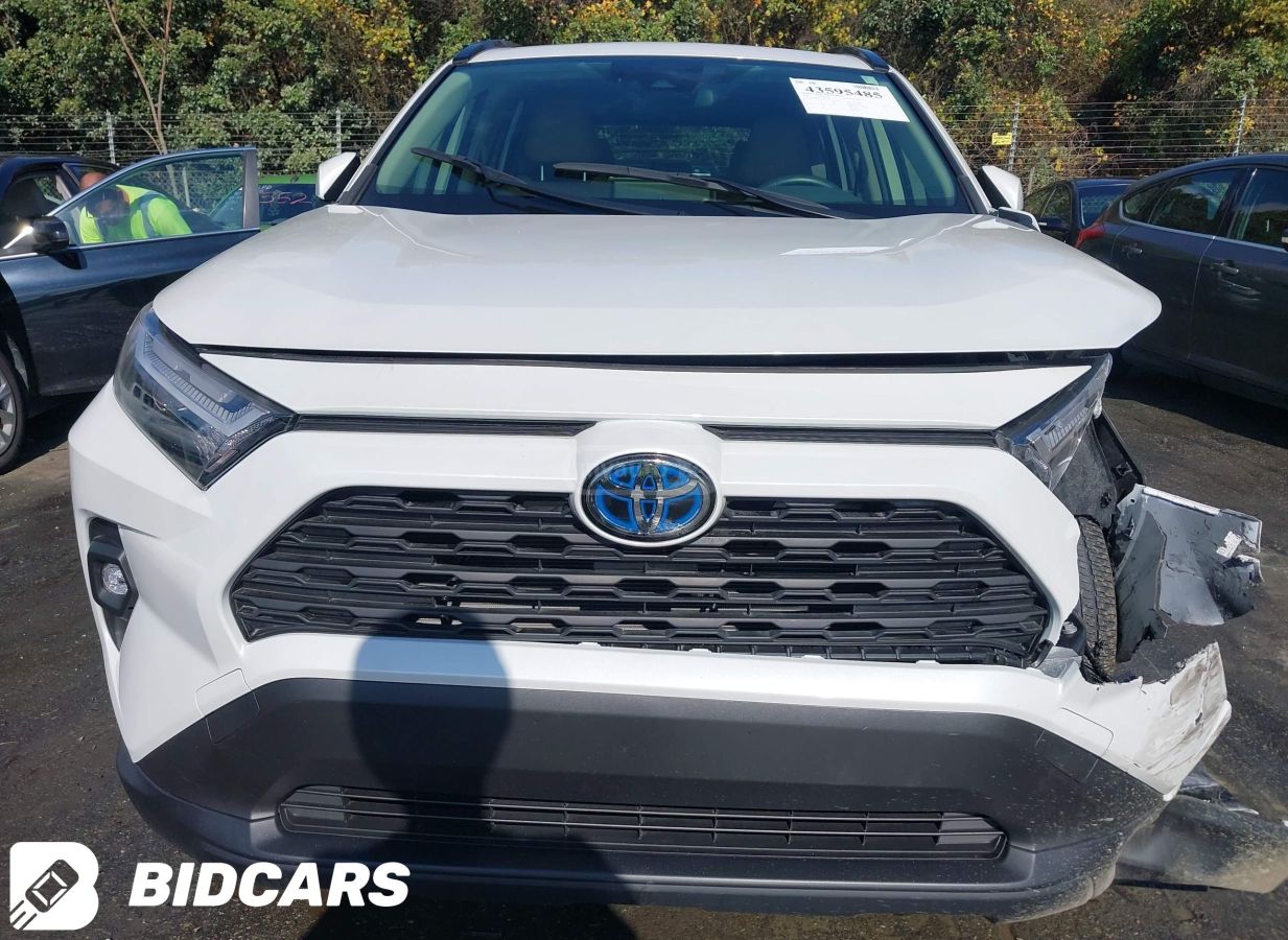 Toyota XLE Premium 4dr All-Wheel Driv — миниатюра 11