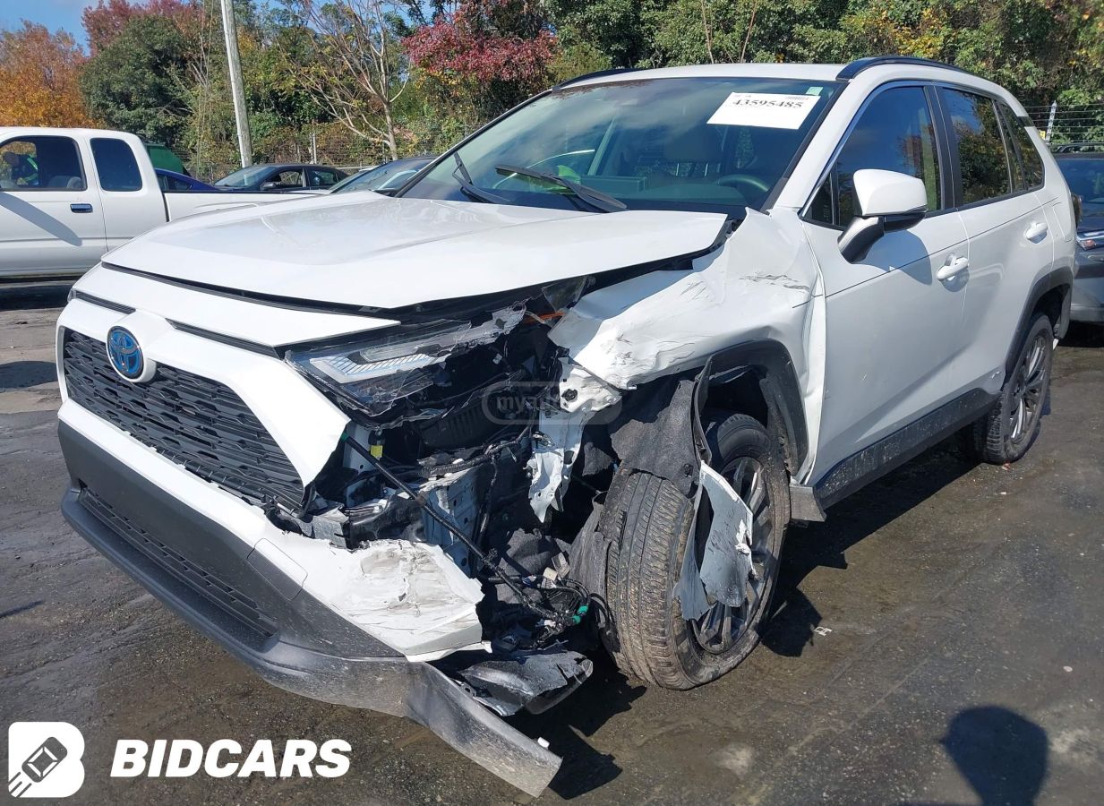 Toyota XLE Premium 4dr All-Wheel Driv — миниатюра 2