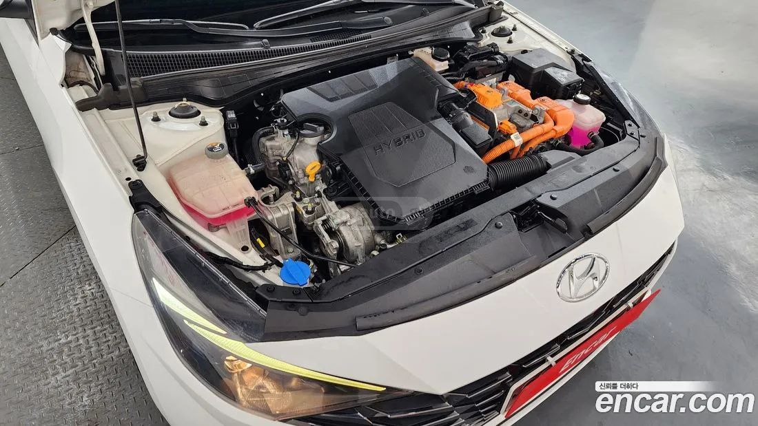 Hyundai Elantra - фото 6