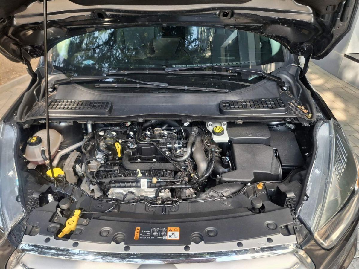 Ford Escape - фото 7