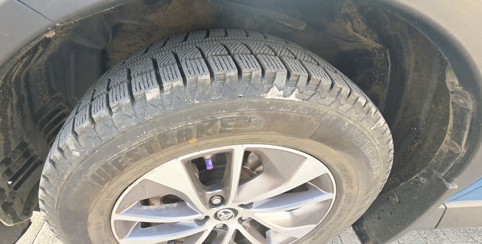 Toyota RAV 4 - фото 5