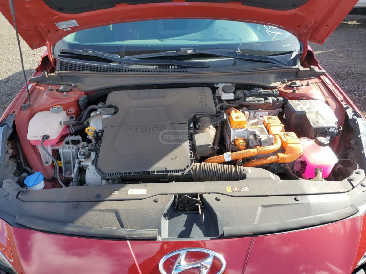 Hyundai Elantra - фото 11