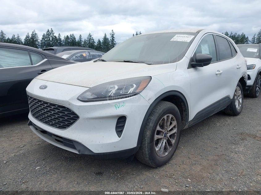 Ford Escape - фото 1