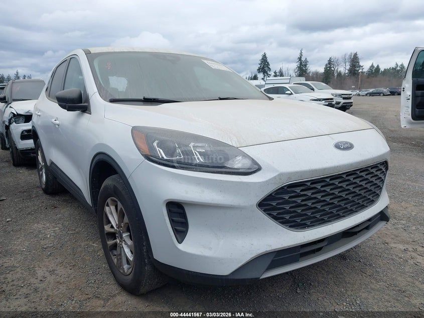 Ford Escape - фото 3