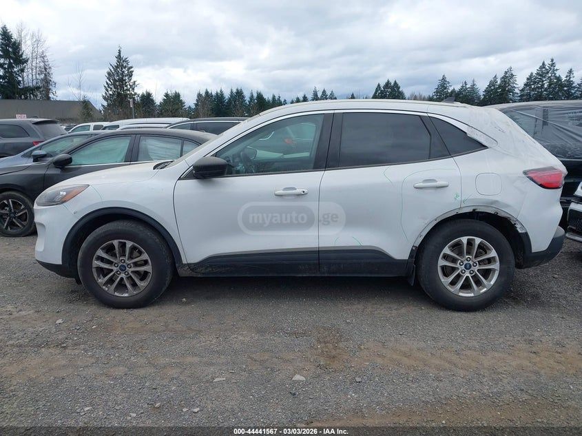 Ford Escape - фото 8