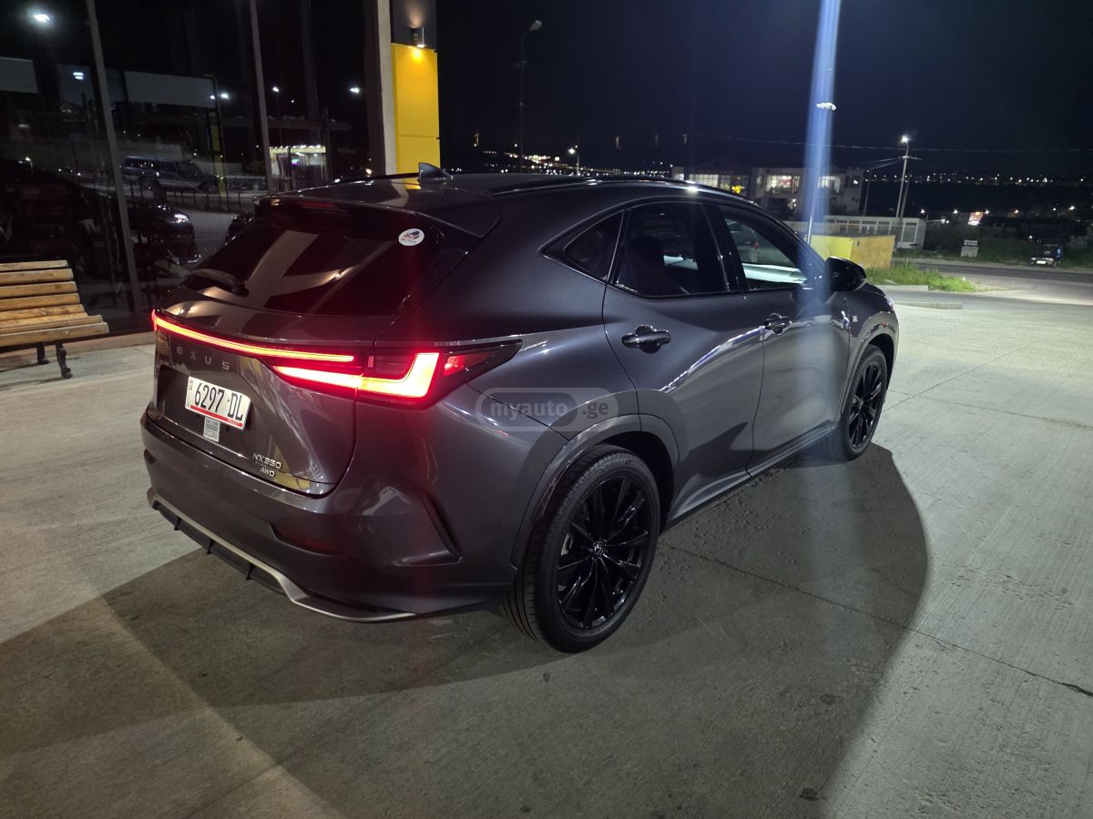 Lexus NX 350 - фото 6