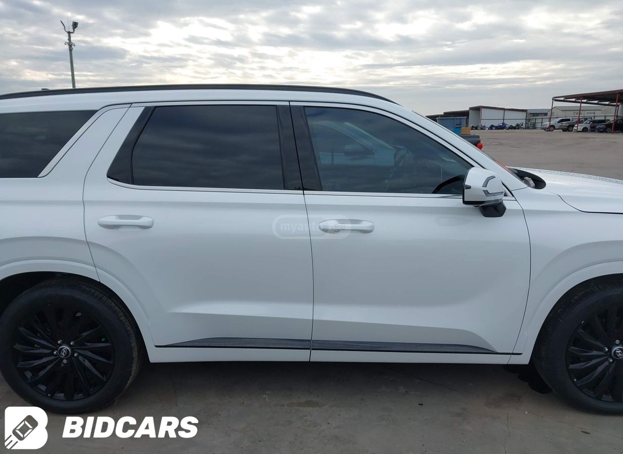 Hyundai Palisade 2025 — миниатюра 11