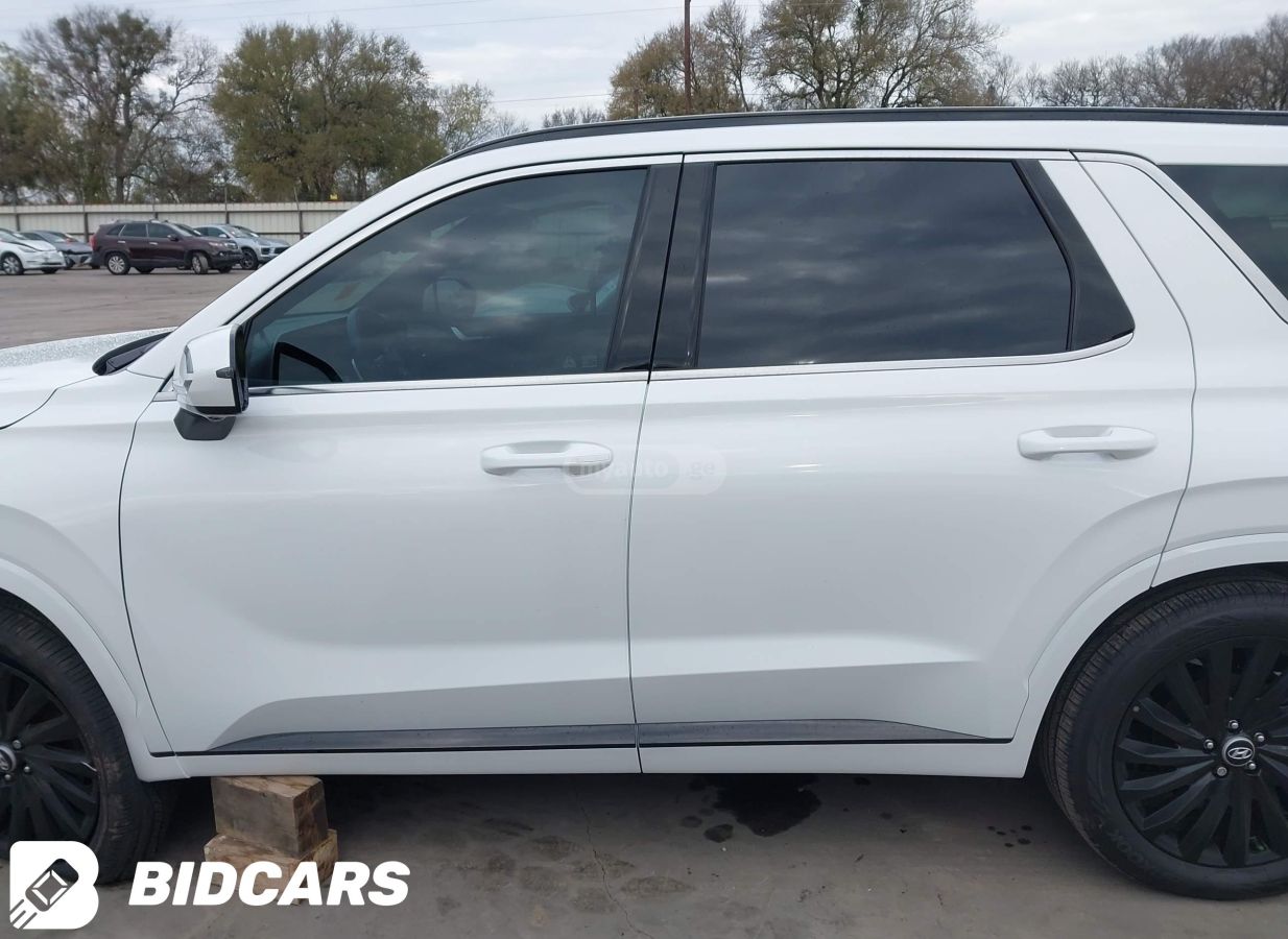 Hyundai Palisade 2025 — миниатюра 12